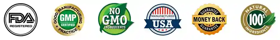 Advanced Muscle Plus Certification